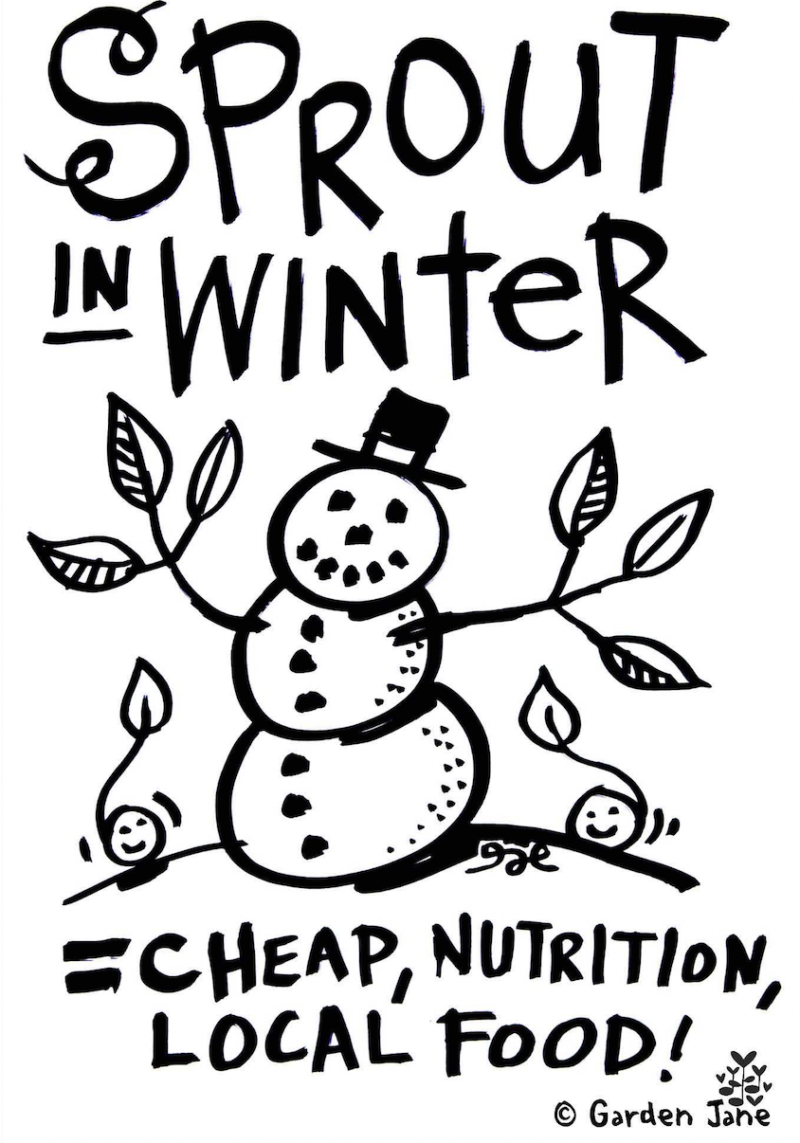 Sprout in winter graphic